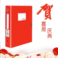 富得快 档案盒 透明彩色资料盒 2英寸3英寸磨砂文件盒 会计收纳盒 粘扣整理盒 PP胶质档案盒  红色【2英寸 背宽55mm】 单个